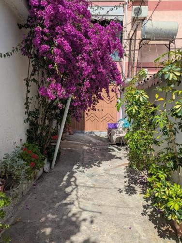 Tirana center Apartment Luli's