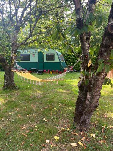 a hammock hanging between two trees in a park at Logement paisible en bord de Vienne in Bonneuil-Matours