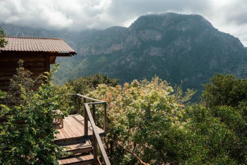 a cabin with a view of a mountain at Olive Garden Kabak in Faralya