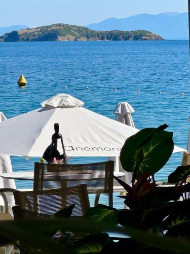 a man sitting on a white tent in front of the water at Anemoni Beach Hotel in Skiathos Town