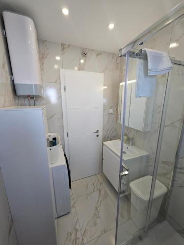 a bathroom with a shower and a toilet and a sink at Apartment Una Paradise in Mandre