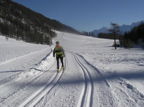 a person is cross country skiing in the snow at Hotel Edelweiss in Malles Venosta