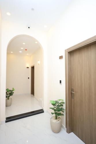 a hallway with a door and two potted plants at Aphrodite Boutique Hotel in Cairo