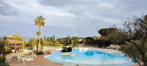 - une grande piscine dans un complexe avec des palmiers dans l'établissement Studio Vue Mer et Estérel Au Petit Paradis-Terrasse 16 m2-Cap Estérel-Saint Raphaël, à Saint-Raphaël