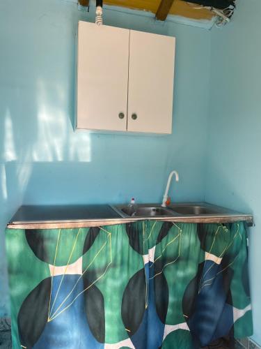 a kitchen with a sink and a cabinet at Te Taku in Fier