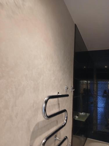 a bathroom with a shower with a hand rail at Dviejų kambarių butas in Palanga