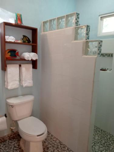 a bathroom with a toilet and a shower at Rancho Camote - Frida 1 bedroom in Chichimilá