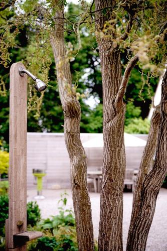 a couple of trees with a light between them at Vakantiewoning Renard Ronse in Ronse