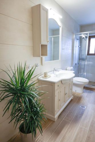 a bathroom with a sink and a toilet and a plant at Alexandros private house in Ano Pedina