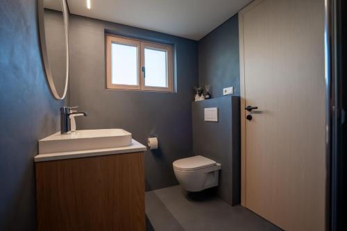 a bathroom with a toilet and a sink and a window at Stilvoll sanierte Altbau-Wohnung, Dornbirn Kehlegg in Dornbirn