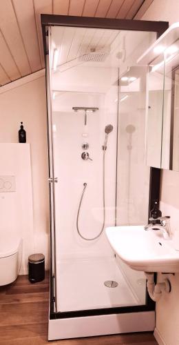 a bathroom with a shower and a sink at Muota River Loft & Muota Industry Apartment near Stoos in Muotathal