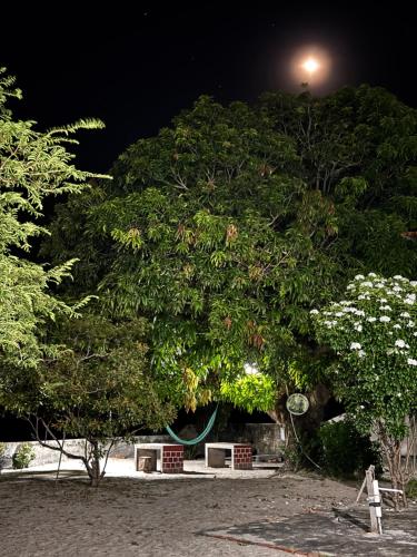 Κήπος έξω από το Pousada São José Santo Amaro ma