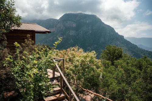 a staircase leading up to a house with a mountain in the background at Olive Garden Kabak in Faralya