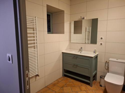 a bathroom with a sink and a toilet and a mirror at Bed In Bellongue in Aucazein