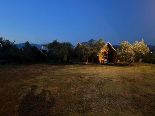 シュコダルにあるCamping Tree Olivesの前に広い庭がある家