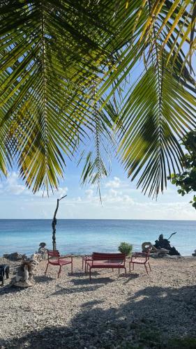 a group of benches on a beach near the ocean at Fareana Lodge Bungalow ho'e in Fakarava