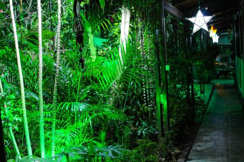 Taman di luar Pousada Flor Dália
