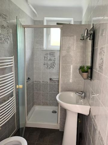 a bathroom with a shower and a sink and a toilet at L escale in Givet