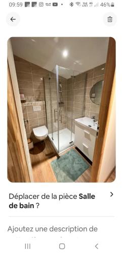 une salle de bain avec une douche, des toilettes et un lavabo dans l'établissement Echarvines, à Talloires