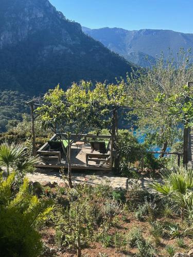 a garden with trees and mountains in the background at Olive Garden Kabak in Faralya