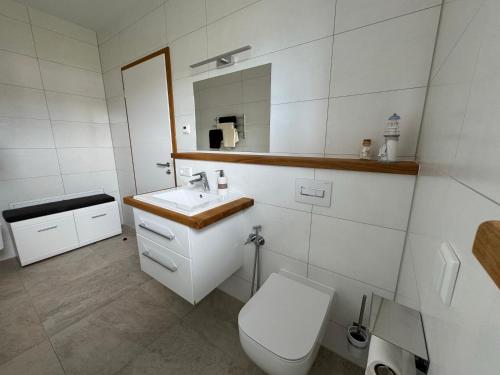 a bathroom with a toilet and a sink and a mirror at luxuriöse Villa Möwengeflüster - 220qm große Ferienwohnung für bis zu 8 Gästen mit Sauna direkt am Goitzschesee in Pouch