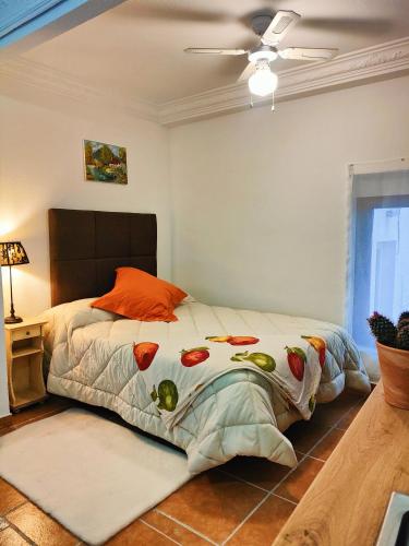 a bedroom with a bed with an orange pillow at Estudio El Santo 2 in Salamanca