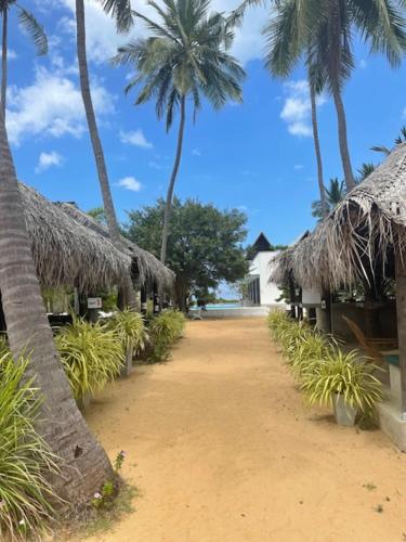 a dirt road with some straw huts and palm trees at Downwinder Lagoon Lodge in Kalpitiya