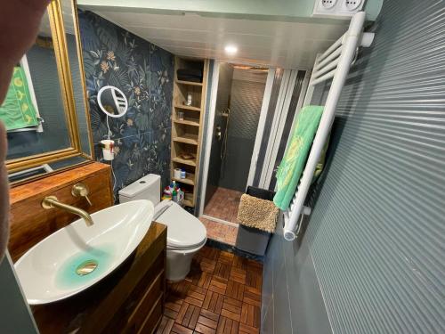 une petite salle de bain avec un lavabo et des toilettes dans l'établissement Appartement avec terrasse à 50 m de la plage, à Valras-Plage