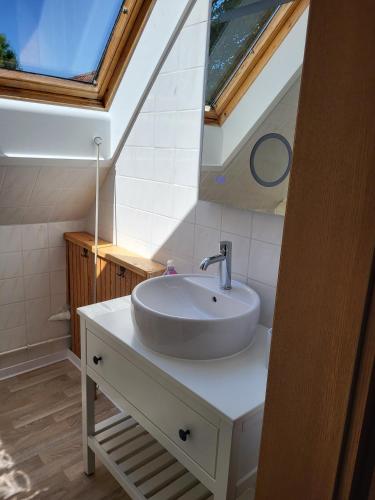a bathroom with a sink and a skylight at Ferienwohnung Kormoran in Kargow