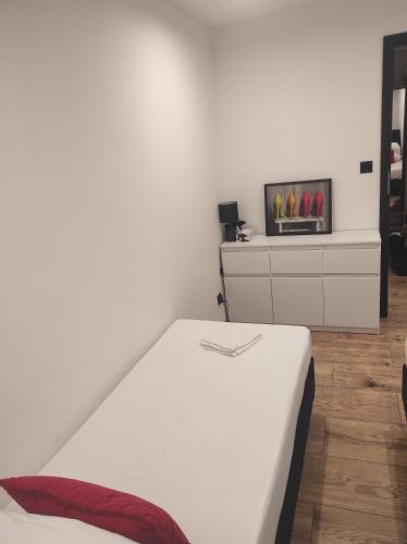 une chambre avec un lit et une télévision sur un mur dans l'établissement BlackandWhite, à Sandomierz