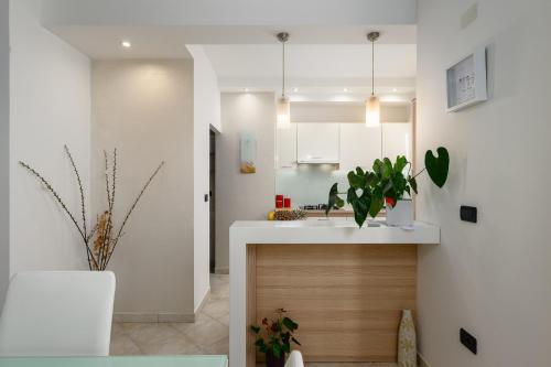 a kitchen with white cabinets and a counter with plants at Villa dido Nini in Cere