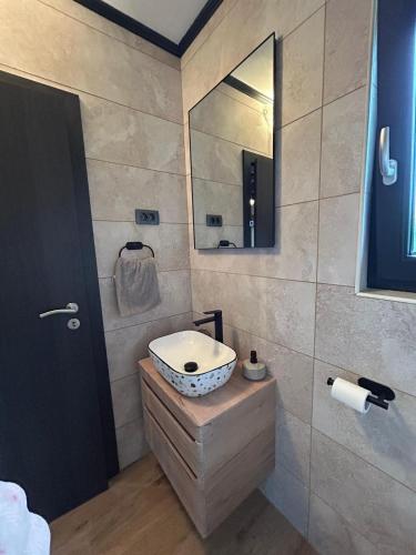 a bathroom with a sink and a mirror at Kuća za odmor LO in Lipovlje