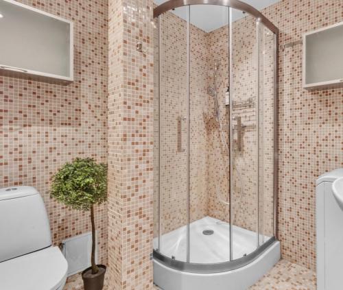 Un baño con ducha, inodoro y lavabo. en Vilnius Old Town Amber Penthouse, en Vilna