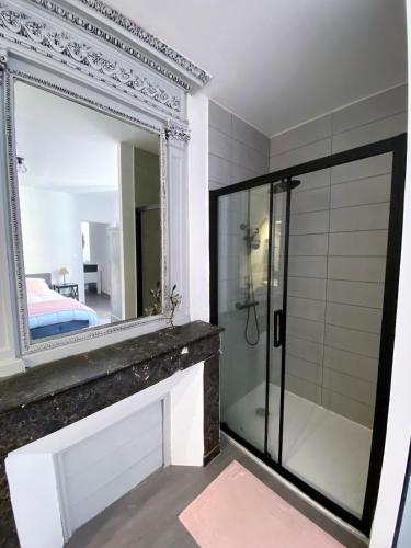 La salle de bains est pourvue d'une douche et d'un grand miroir. dans l'établissement 2 pièces élégant calme central parking sur place, à Foix