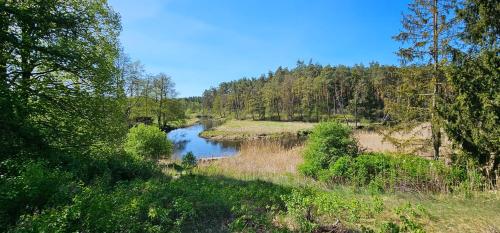a river in the middle of a forest at Leśna Przystań Bory Tucholskie in Łuby