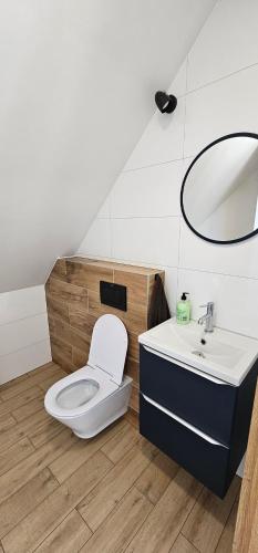 a bathroom with a toilet and a sink at Leśna Przystań Bory Tucholskie in Łuby