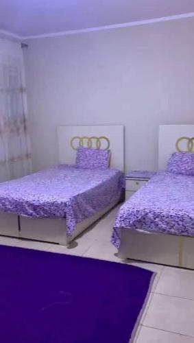 Легло или легла в стая в مليح هوستل