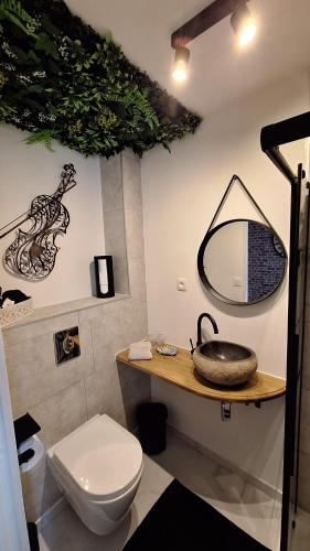 a bathroom with a sink and a toilet and a mirror at "Chez Ba'Nus" in Blankenberge