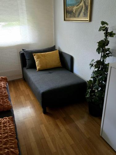 a couch with a yellow pillow on it in a room at Haus Edelweiss Panorama incl, Königscard in Nesselwang