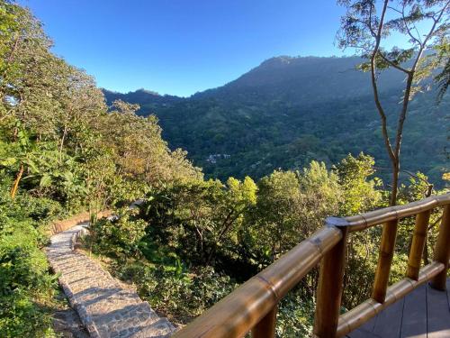 Un paisaje natural cerca de la casa vacacional