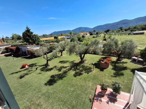 an aerial view of a yard with olive trees at A Casa di Lidia in Sarzana