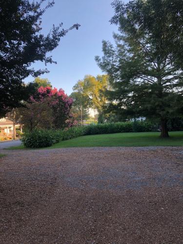 a park with trees and a field of grass at Belmont Inn in Shelbyville