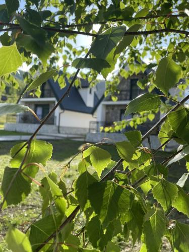 a tree with green leaves in front of a house at BOK Holiday VILLAGE Kolasin in Kolašin