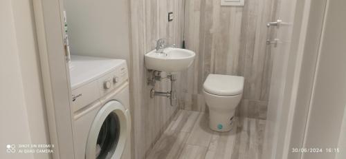 a bathroom with a toilet sink and a washing machine at Appartamento vicino al mare in Praia a Mare