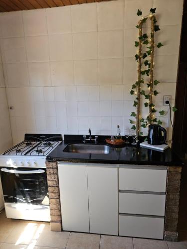a kitchen with a sink and a stove at City Cabin in Uspallata