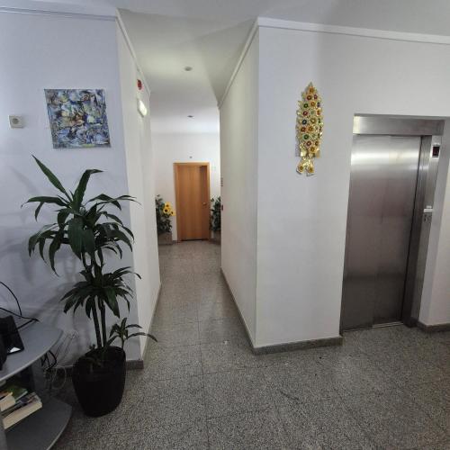 a hallway of an office with a elevator and a plant at Apartamentos Turísticos Vila Praia in Vila Praia de Âncora