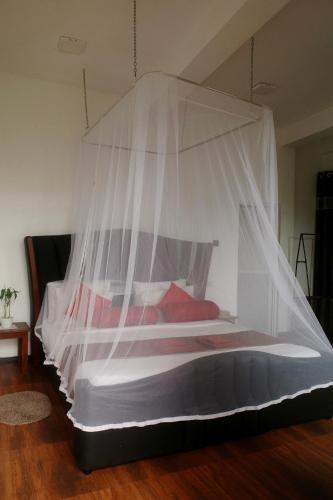 a bed with a mosquito net in a room at Will Guest Homestay in Ella