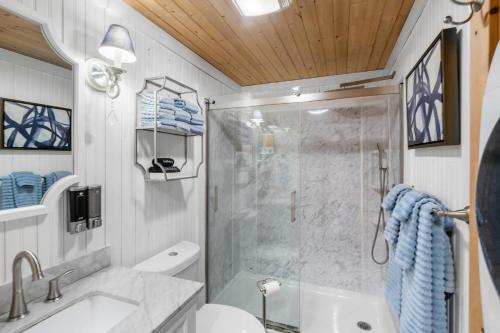 a bathroom with a shower and a toilet and a sink at Cozy Cottages Green Cottage Hot tub-Town in Saugatuck