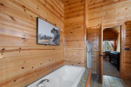 La salle de bains est pourvue d'une baignoire et d'une télévision sur un mur en bois. dans l'établissement Lilypad Dock on Goshorn Lake Pooltown, à Saugatuck