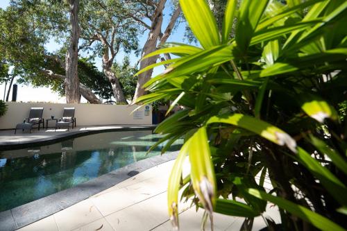 Πισίνα στο ή κοντά στο Marlin Waters Beachfront Apartments